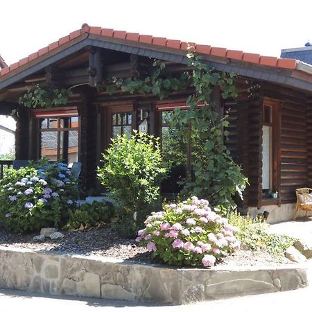 Ferienwohnung Blockhaus Juka Vinningen 外观 照片