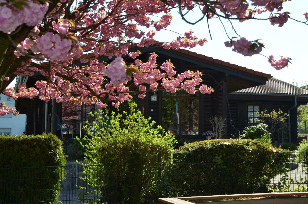 Ferienwohnung Blockhaus Juka Vinningen 外观 照片