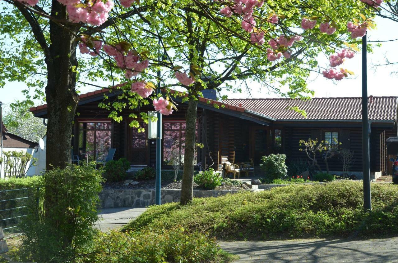 Ferienwohnung Blockhaus Juka Vinningen 外观 照片